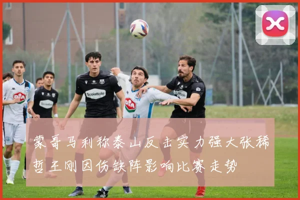 蒙哥马利称泰山反击实力强大张稀哲王刚因伤缺阵影响比赛走势